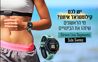 Read more about the article גרמין