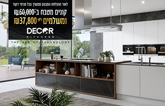 Read more about the article דקור