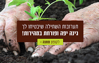 Read more about the article דשנית
