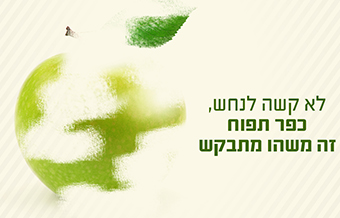 Read more about the article תפוח