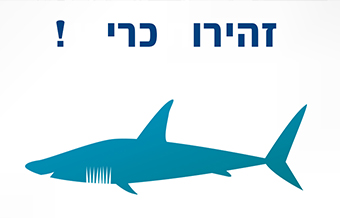 Read more about the article מדנט