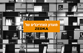 Read more about the article זדקה