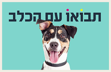 Read more about the article גרילה פייסבוק